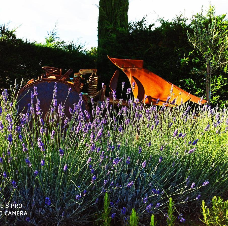 Rocca Degli Olivi Bed & Breakfast San Gimignano Eksteriør bilde