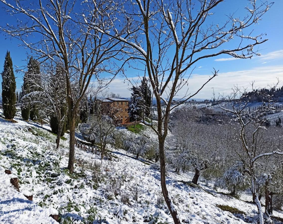 Rocca Degli Olivi Bed & Breakfast San Gimignano Eksteriør bilde