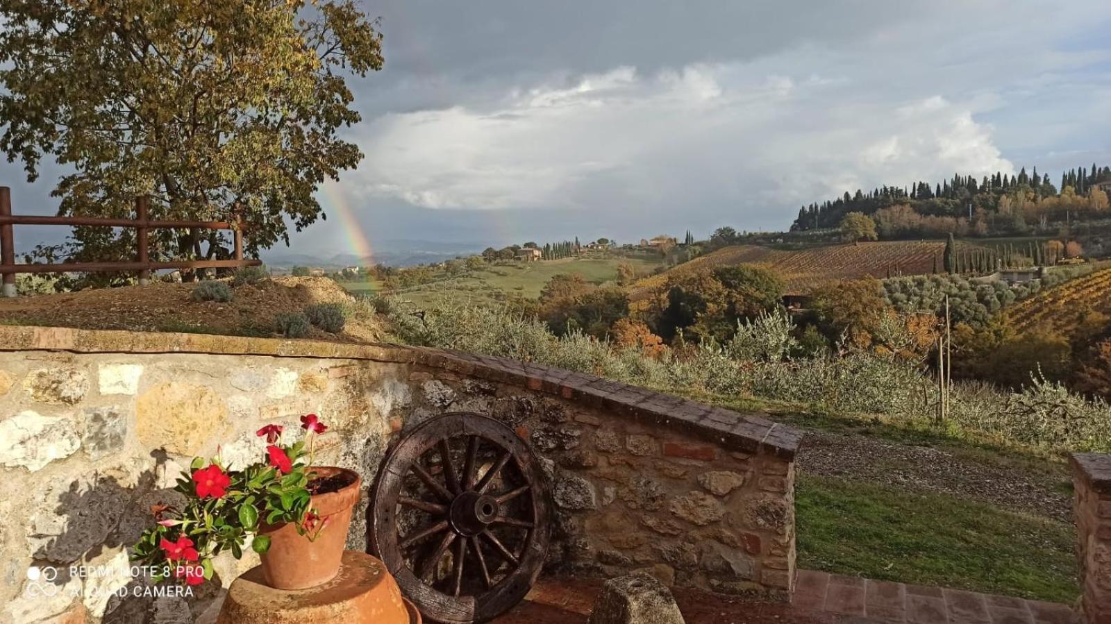 Rocca Degli Olivi Bed & Breakfast San Gimignano Eksteriør bilde