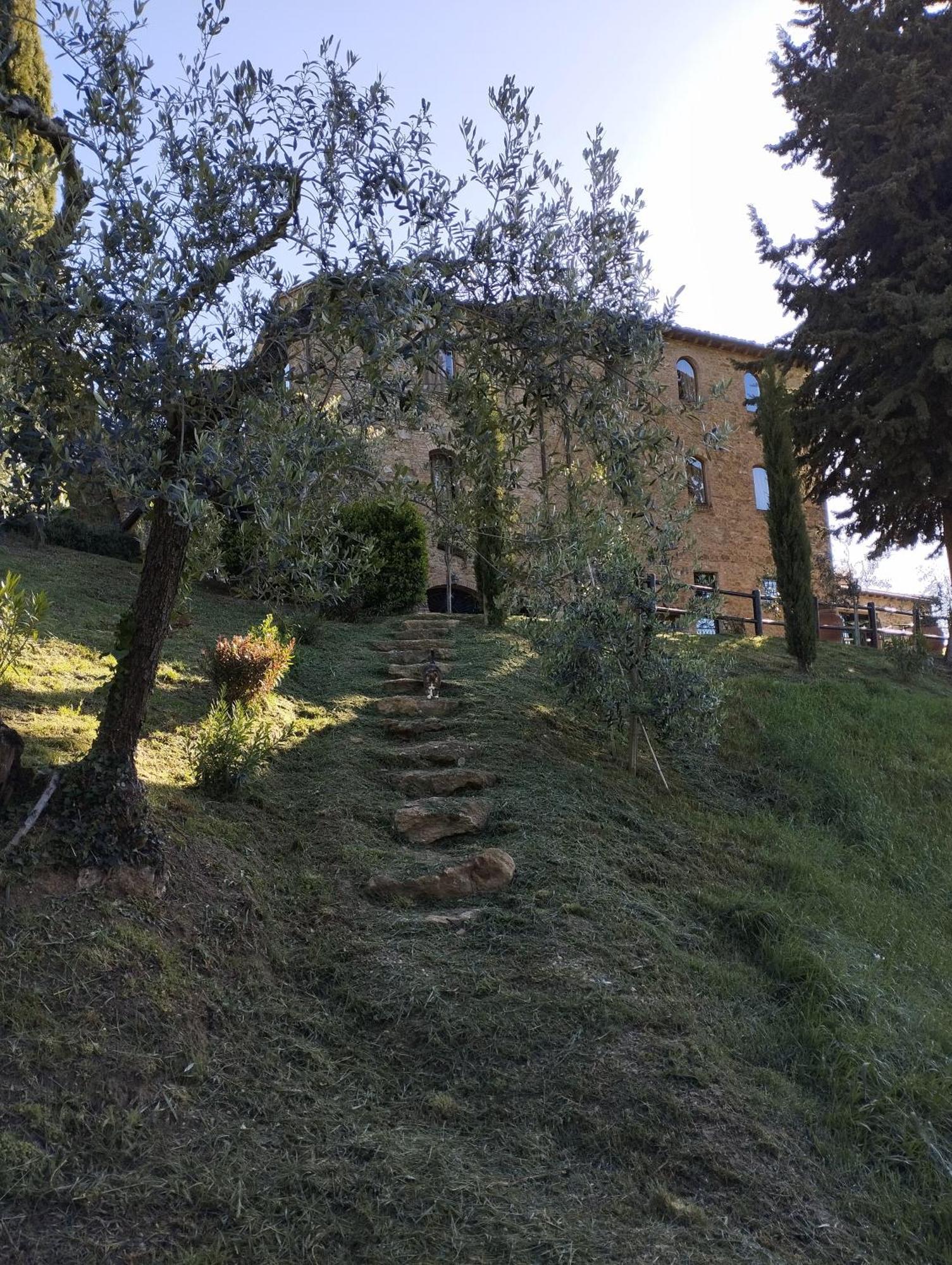 Rocca Degli Olivi Bed & Breakfast San Gimignano Eksteriør bilde