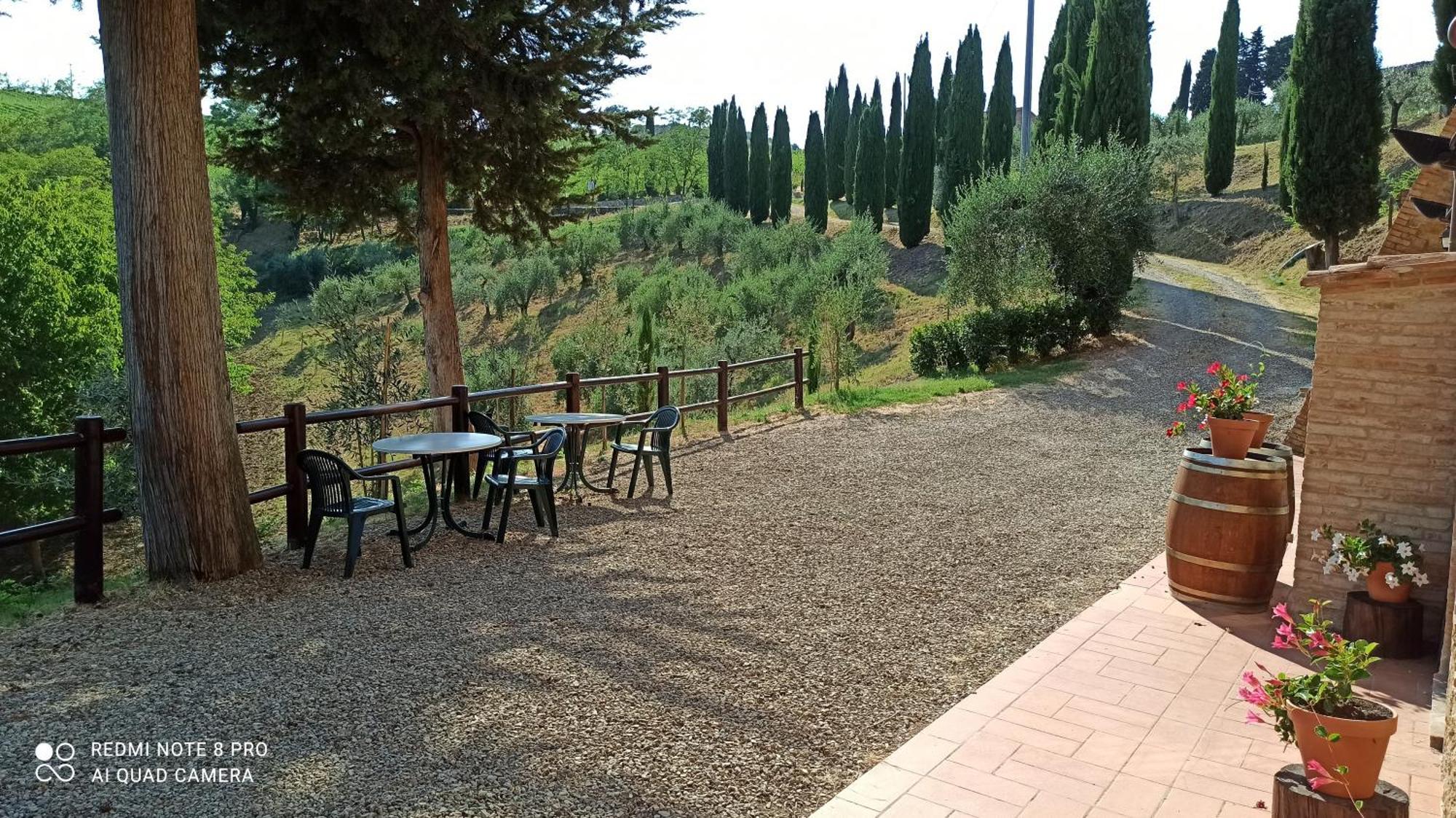 Rocca Degli Olivi Bed & Breakfast San Gimignano Rom bilde