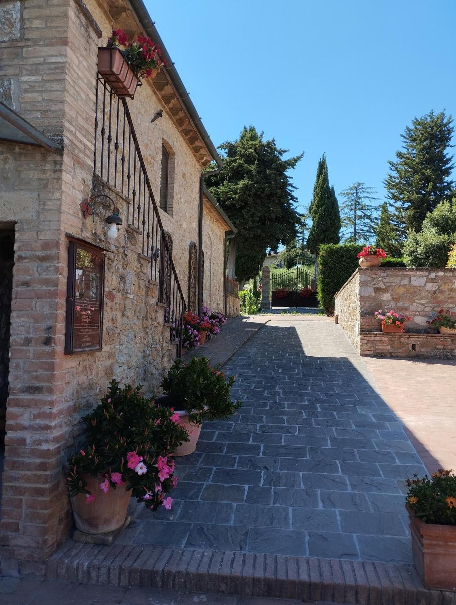 Rocca Degli Olivi Bed & Breakfast San Gimignano Eksteriør bilde