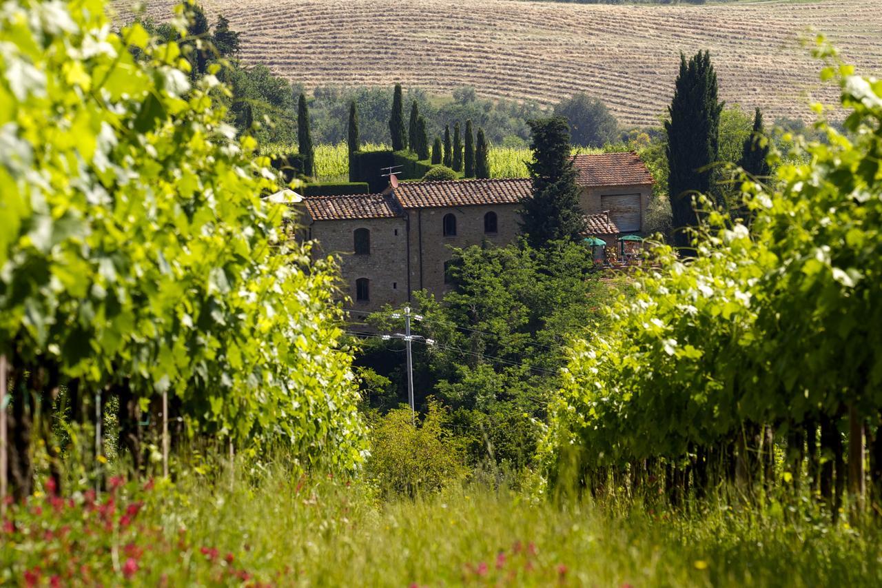 Rocca Degli Olivi Bed & Breakfast San Gimignano Eksteriør bilde