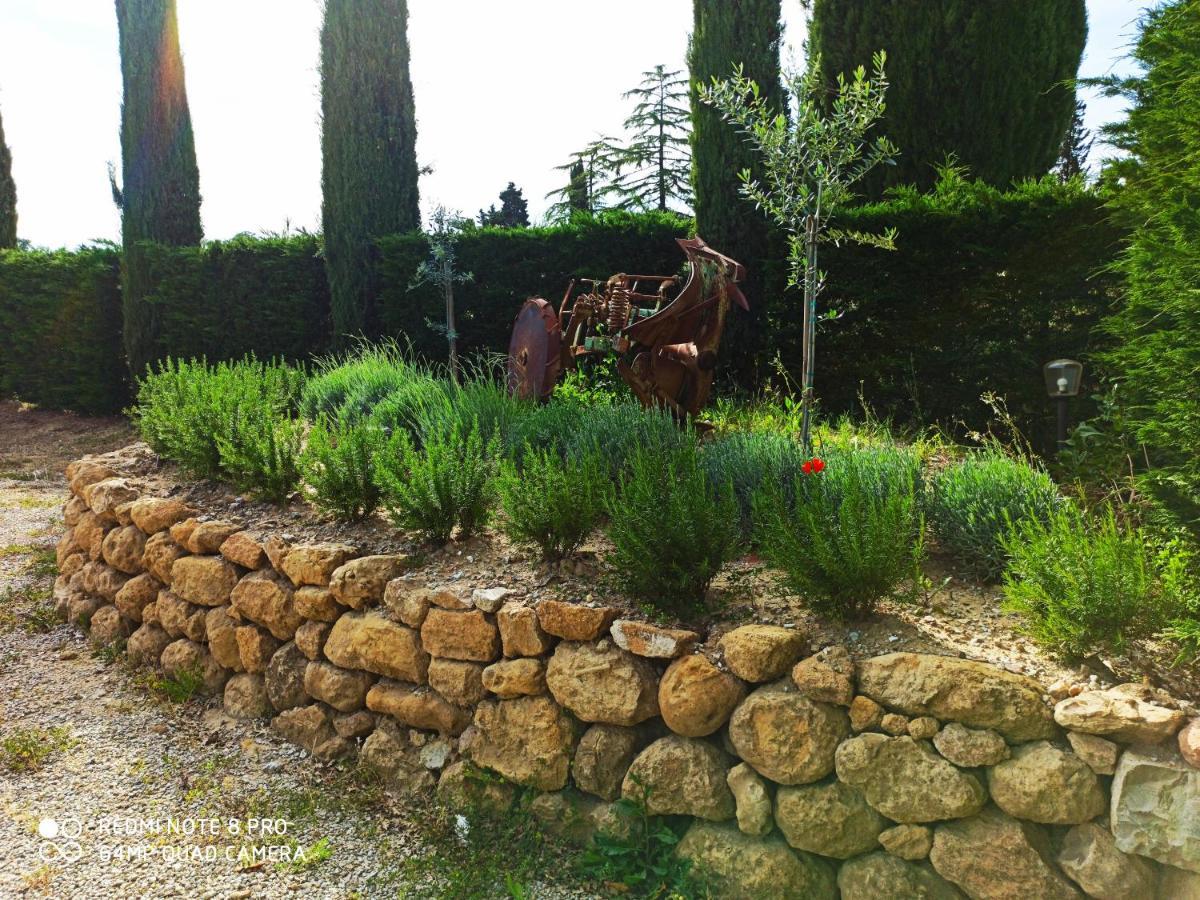 Rocca Degli Olivi Bed & Breakfast San Gimignano Eksteriør bilde