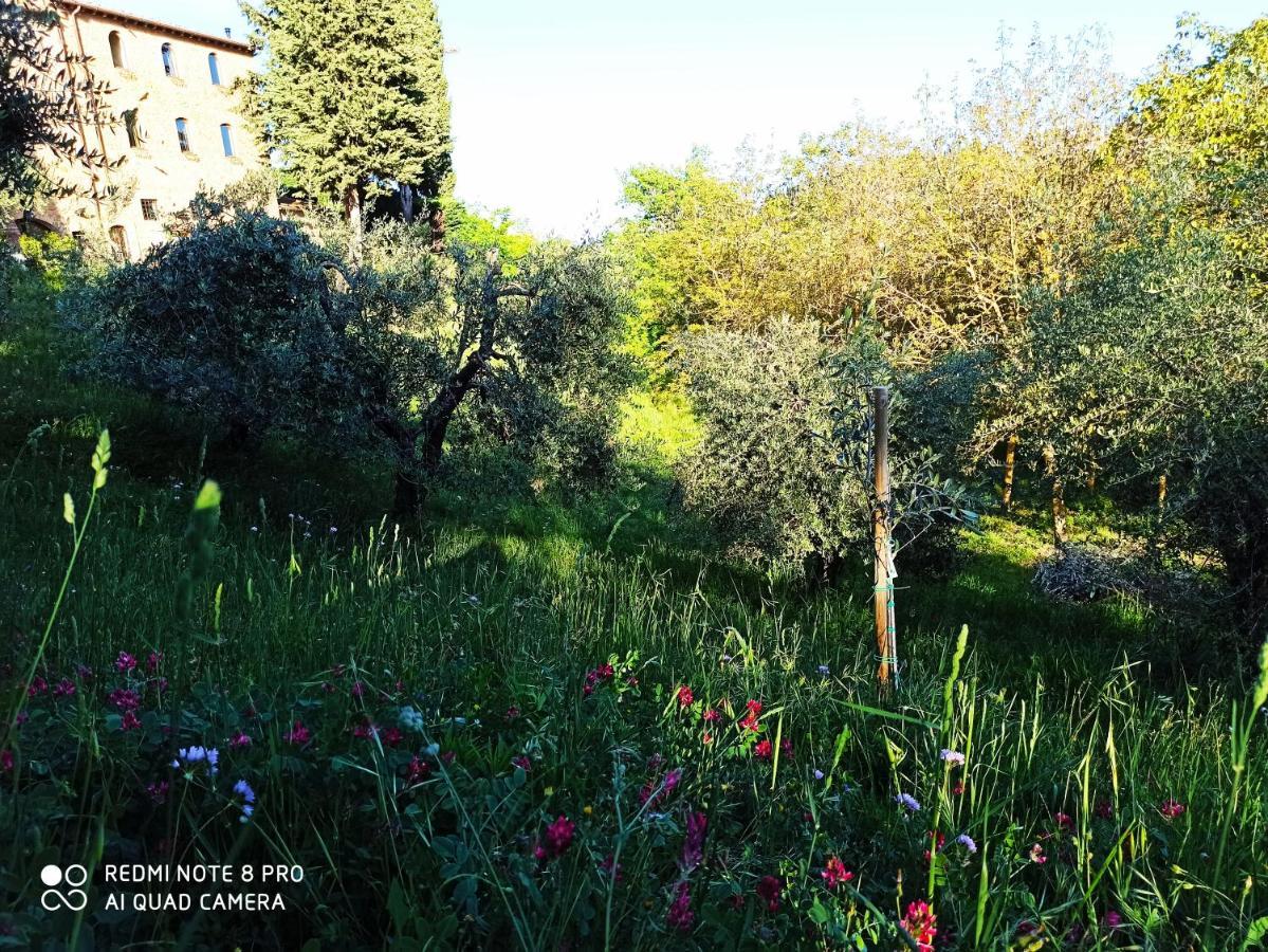 Rocca Degli Olivi Bed & Breakfast San Gimignano Eksteriør bilde