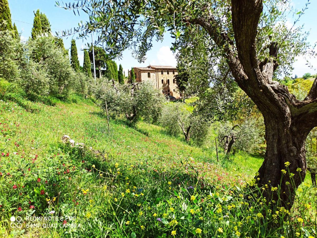 Rocca Degli Olivi Bed & Breakfast San Gimignano Eksteriør bilde